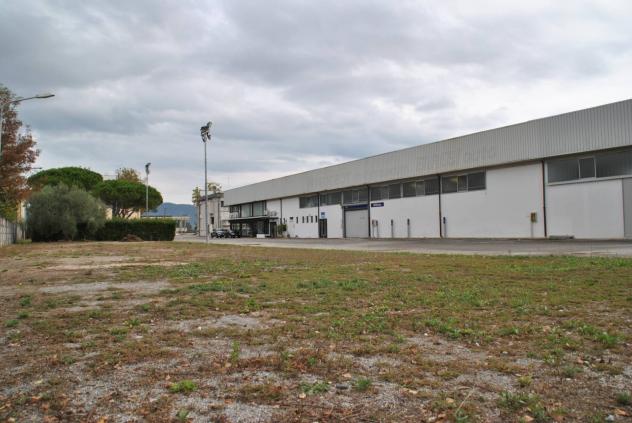 Locale comm.le/Fondo in vendita a San Giuliano Terme 1160 mq Rif: 1423786 - Foto 3