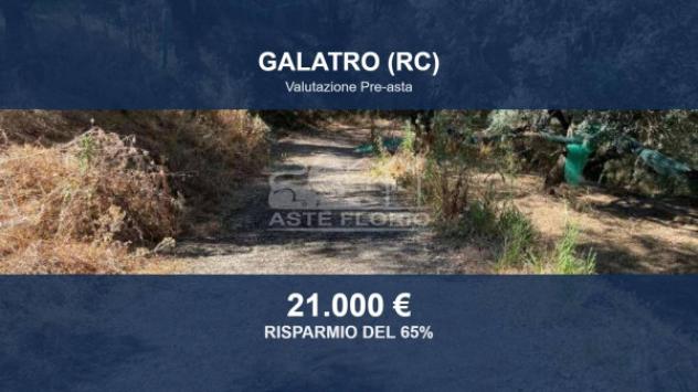 Immobile in asta di 62700 m² in vendita a Galatro