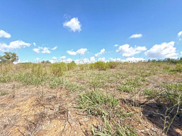Terreno agricolo in vendita a Cecina 4648 mq Rif: 1448274 - Foto 4