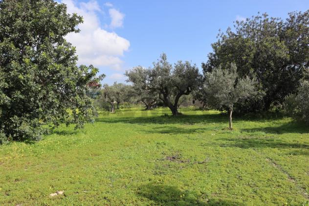 Terreno in vendita a Vittoria