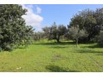 Terreno in vendita a Vittoria