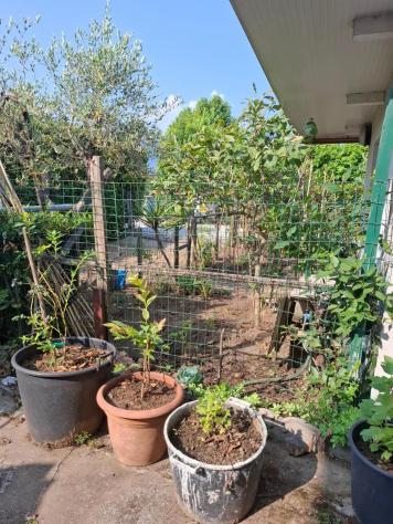 Appartamento in vendita a Camaiore 144 mq Rif: 1400010 - Foto 6