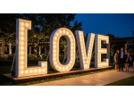 Scritta Luminosa LOVE Gigante