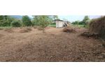 Terreno agricolo in vendita a Massa 1000 mq  Rif: 1193315