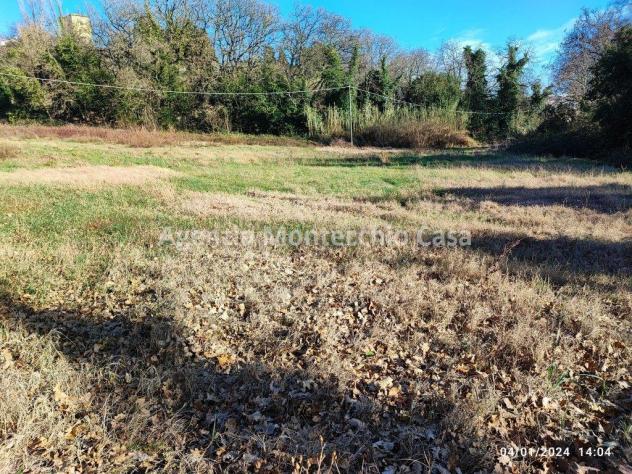 CASA COLONICA CON RICOVERO ATTREZZI, SILOS, TERRENO AGRICOLO E BOSCO - Foto 8