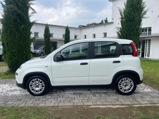 FIAT Panda 1.0 FireFly 70cv S&S Hybrid - Foto 4
