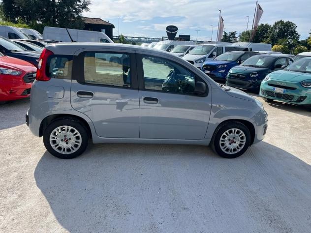 FIAT Panda 1.0 FireFly 70cv S&S Hybrid Easy - Foto 5