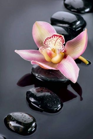 Massaggio rilassante e professionale, relax, benessere ti aspettano - Foto 4 Tel:3513451535