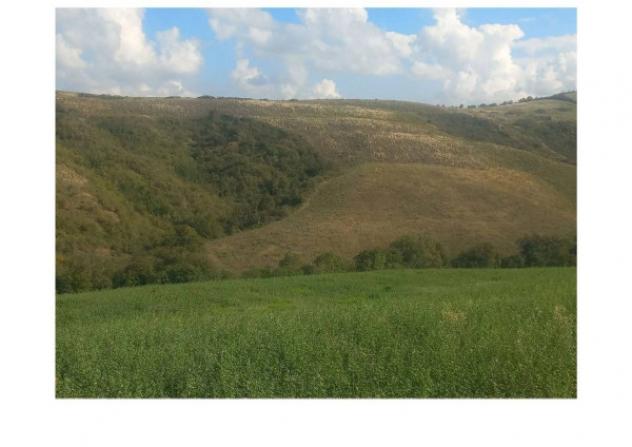 Immobile in asta di 44566 m² in vendita a Mondaino - Foto 2