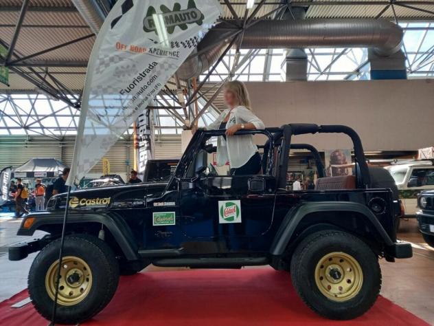 JEEP Wrangler 1ª-2ª s. Wrangler 4.0 cat Hard top (EU)
