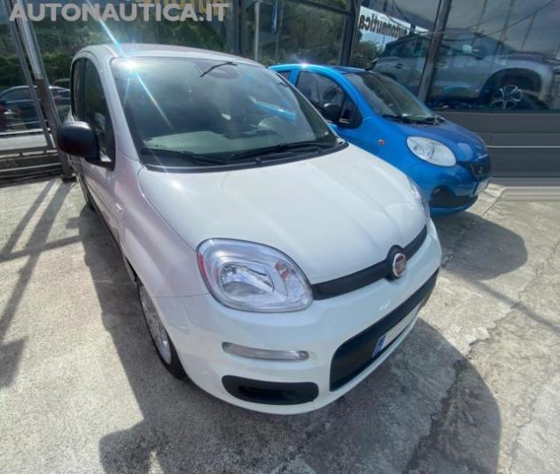 FIAT Panda 1.0 FireFly S&S Hybrid Icon 70cv rif. 24097576 - Foto 4