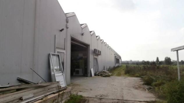 Immobile in asta di 5683 m² in vendita a Castenaso - Foto 6