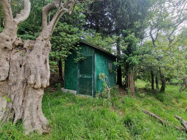 Terreno agricolo in vendita a Casano - Luni 2880 mq Rif: 1411550