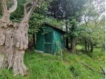 Terreno agricolo in vendita a Casano - Luni 2880 mq  Rif: 1411550
