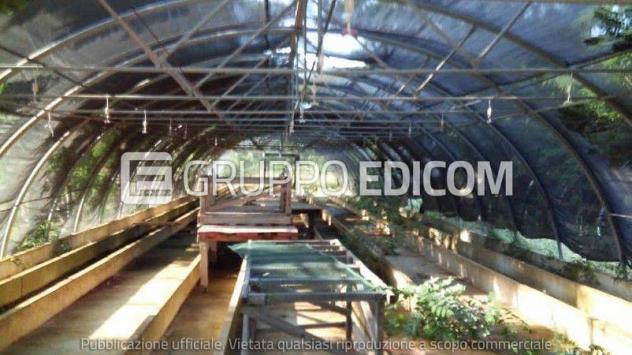 Terreno di 12040 mq  in vendita a Luzzi - Rif. 4560391