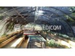 Terreno di 12040 mq  in vendita a Luzzi - Rif. 4560391