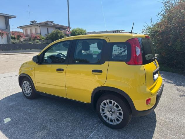 Fiat Panda 1.0 FireFly S&S Hybrid Pandina- 1.516 KM 2024 - Foto 6