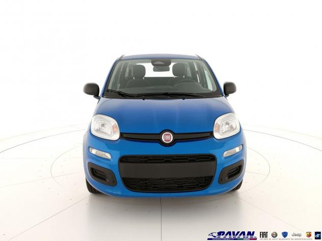 FIAT Pandina Panda 1.0 FireFly 65 CV Hybrid Icon - Foto 2