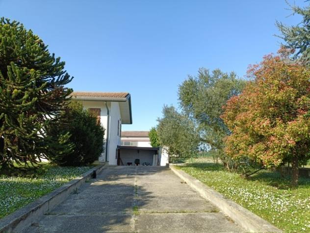 Singola in vendita a Villanova Marchesana - Foto 6