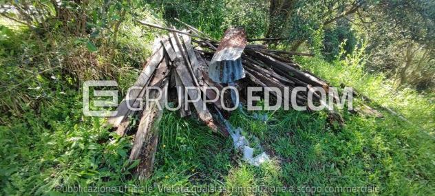 Terreno in vendita a Massa - Rif. 3560037 - Foto 2