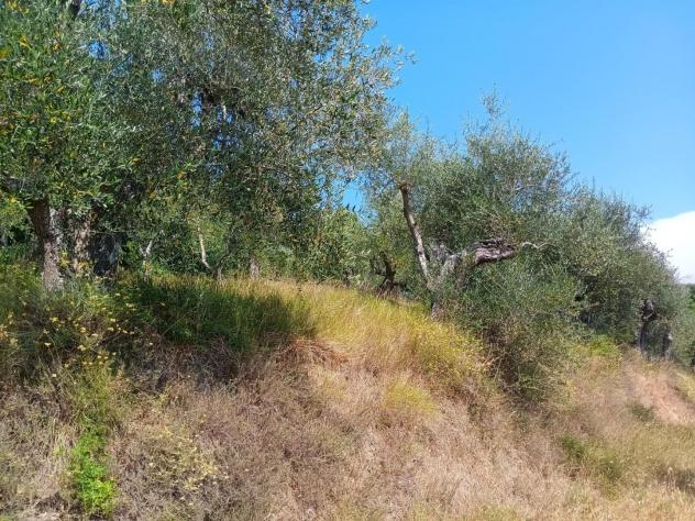 Terreno agricolo in vendita a Treggiaia - Pontedera 100000 mq Rif: 938474 - Foto 5