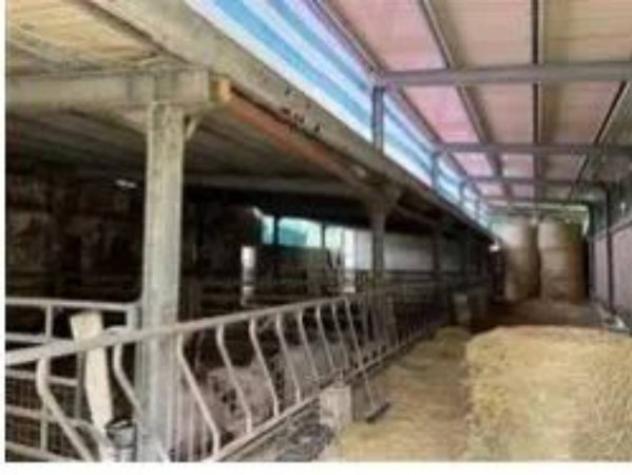 Immobile in asta di 528 m² in vendita a Tavoleto - Foto 6
