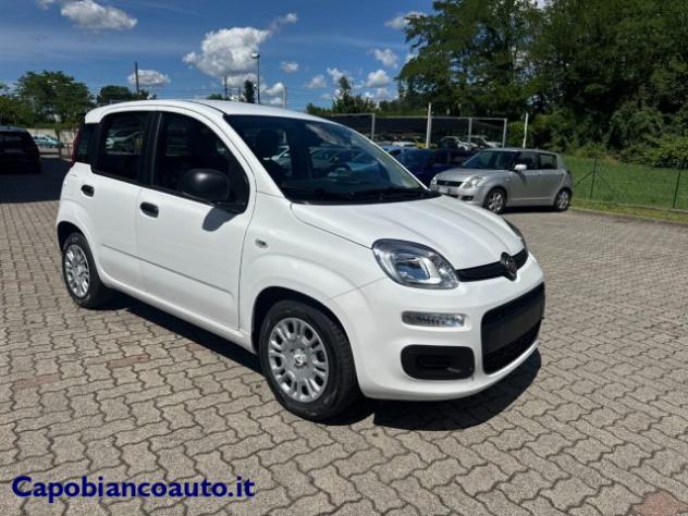 FIAT Panda 1.0 FireFly S&S Hybrid POP KM0 PROMO rif. 23776922 - Foto 3
