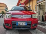 FIAT PANDA 1.2  CV60 KW40 CLIBING NATURALPOWER