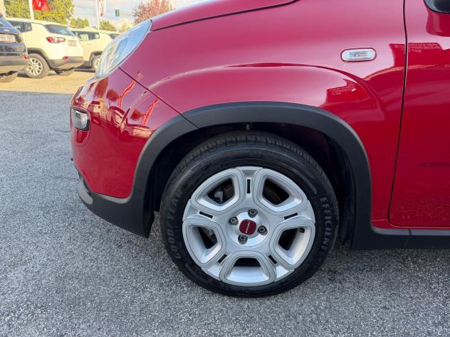 FIAT Panda Panda 1.0 firefly hybrid 70cv 5 POSTI, PRONTA CONSEGNA! - Foto 8