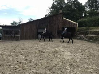 Lezioni di equitazione