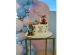 Organizzazione Gender Party Milano sweet table e cake design