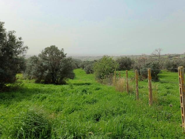 Agricolo in Via Casale dell'Oliveto - Foto 11