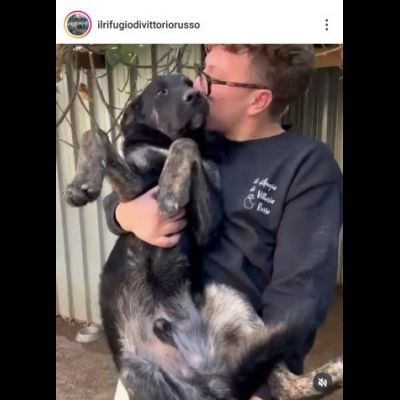 TRONKY UN GIOIOSO COCCOLONE: CANE IN ADOZIONE 1 ANNO - Foto 2