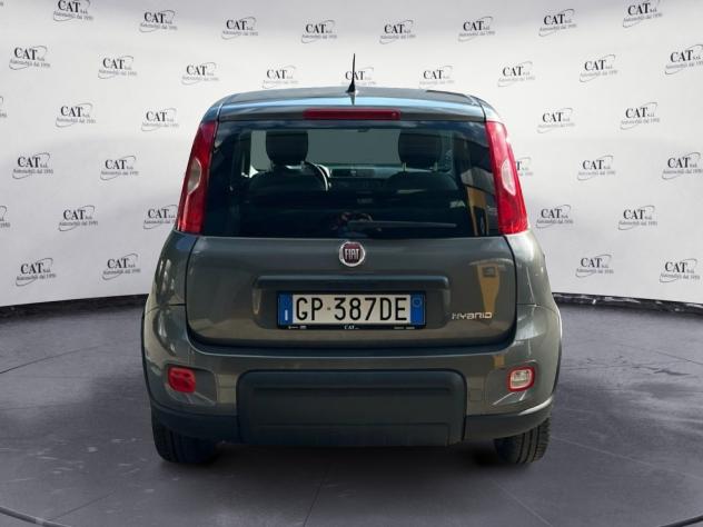 FIAT Panda Panda 1.0 firefly hybrid (prezzo reale) - Foto 7