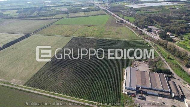 Terreno in vendita a Rotondella - Rif. 4549506 - Foto 6