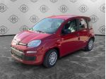 FIAT Pandina 1.0 FireFly 65cv S&S 6m Hybrid Icon