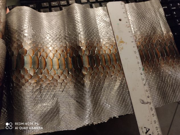 Art. Esotici e Classici Per Pelletteria -Calzatura e Abbigliamento - Foto 6