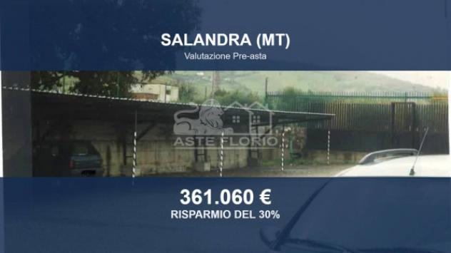 Immobile in asta di 45234 m² in vendita a Salandra