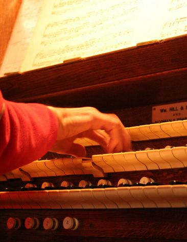 Organista (professionista) a Tradate