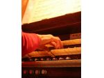 Organista (professionista) a Tradate