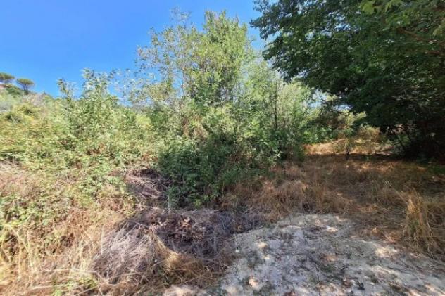 Immobile in asta di 27173 m² in vendita a Macerata - Foto 8