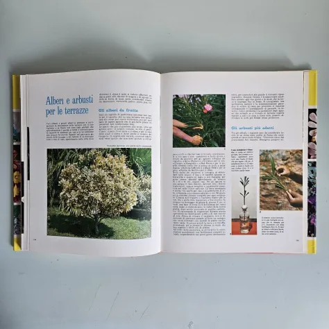 Terrazze e Giardini - Guida Pratica al Giardinaggio - European Book - 1991 - Foto 6