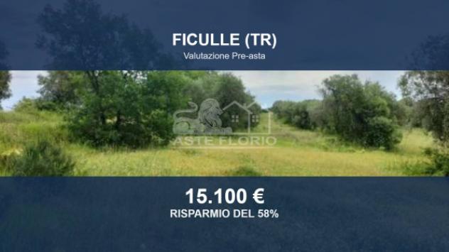 Immobile in asta di 23396 m² in vendita a Ficulle