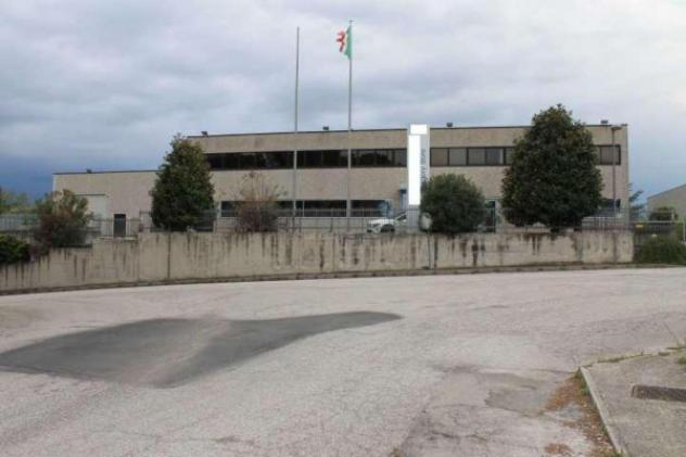 Immobile in asta di 4048 m² con più di 5 locali in vendita a Montegranaro