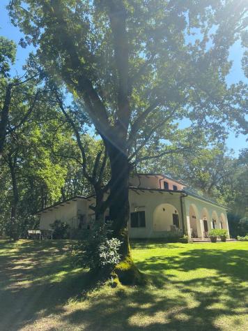 Villa in Via delle Magnolie - Foto 7