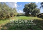 Villa di 30 m² con 1 locale in vendita a Velletri