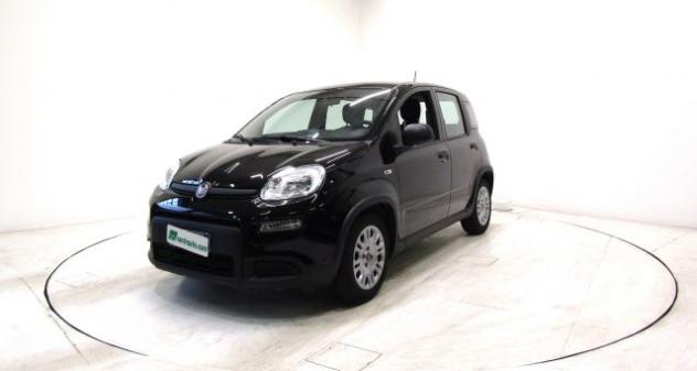 FIAT Panda 1.0 FireFly Hybrid * OK NEOPATENTATI * rif. 23873118 - Foto 3
