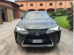 Lexus UX  UX Hybrid 4WD Premium