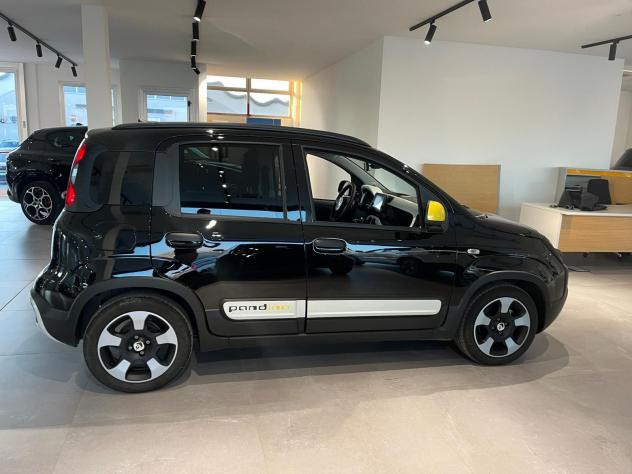 FIAT Panda Cross Panda Cross 1.0 FireFly S&S Hybrid - Foto 6