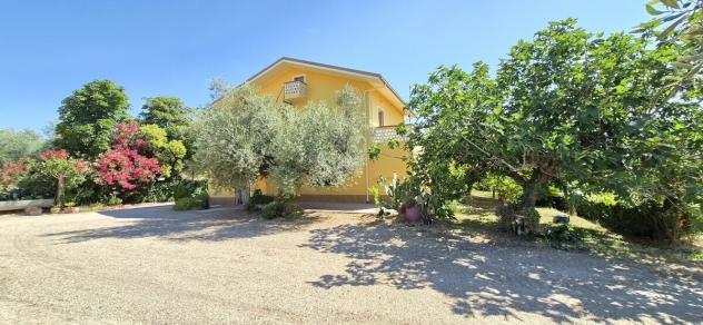 Casale in vendita a Loreto Aprutino - Foto 8